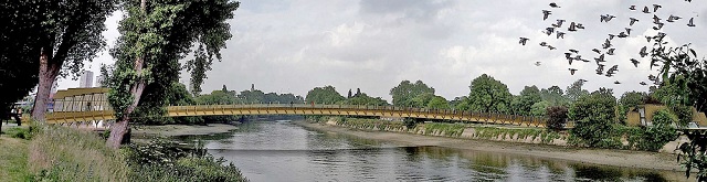 View of a bridge