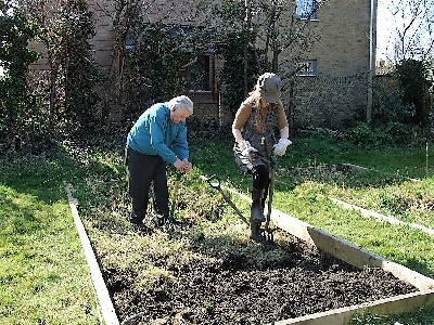 Clearing out a vegetable plot