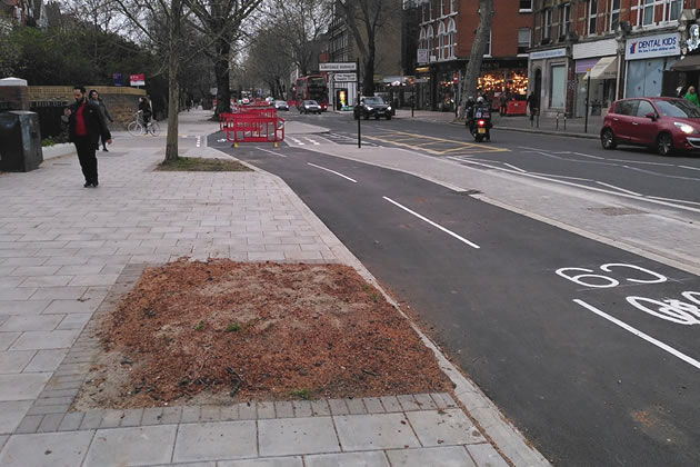 Tree chopped down on Chiswick High Road