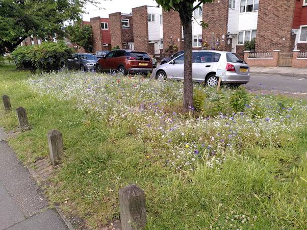 Grass verge in Brentford