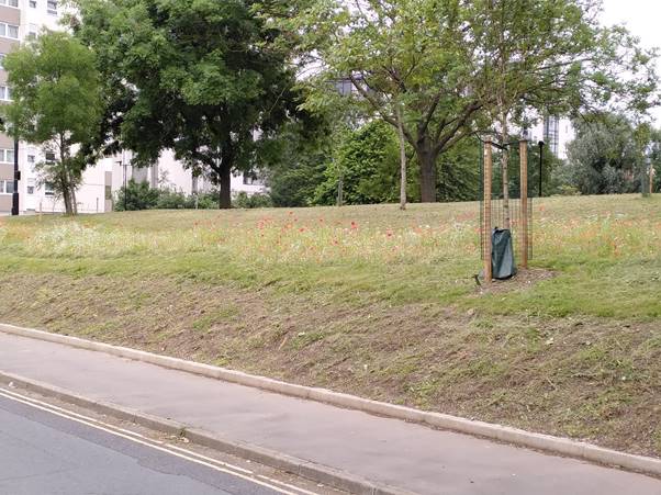 Another Grass verge in Brentford