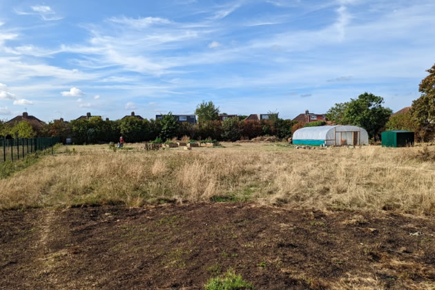 Sutton Playing Fields 