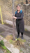 A person standing next to a tree