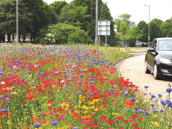 Rotherham's River of Flowers
