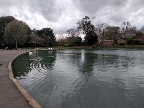 Gunnersbury pond