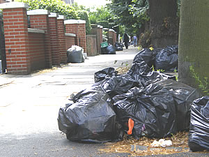 waste festers in hounslow