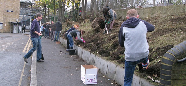 Planting