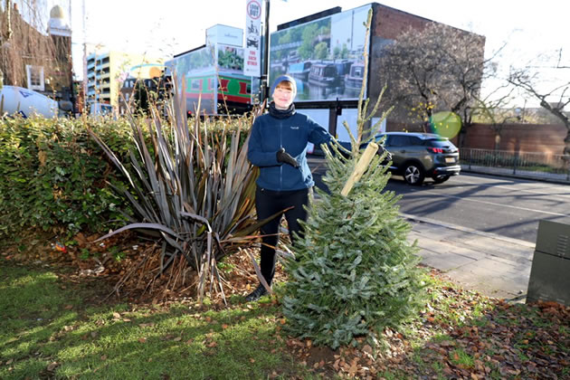 Cllr Dunne with Christmas Tree