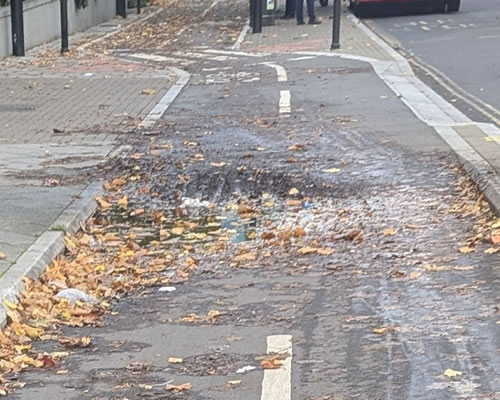 Leaves in cycleway by Kew Bridge 